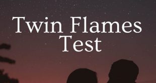 Twin Flames Test
